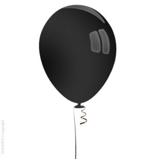 Paris Prix - Lot De 10 Ballons En Latex gonflables 30cm Noir à